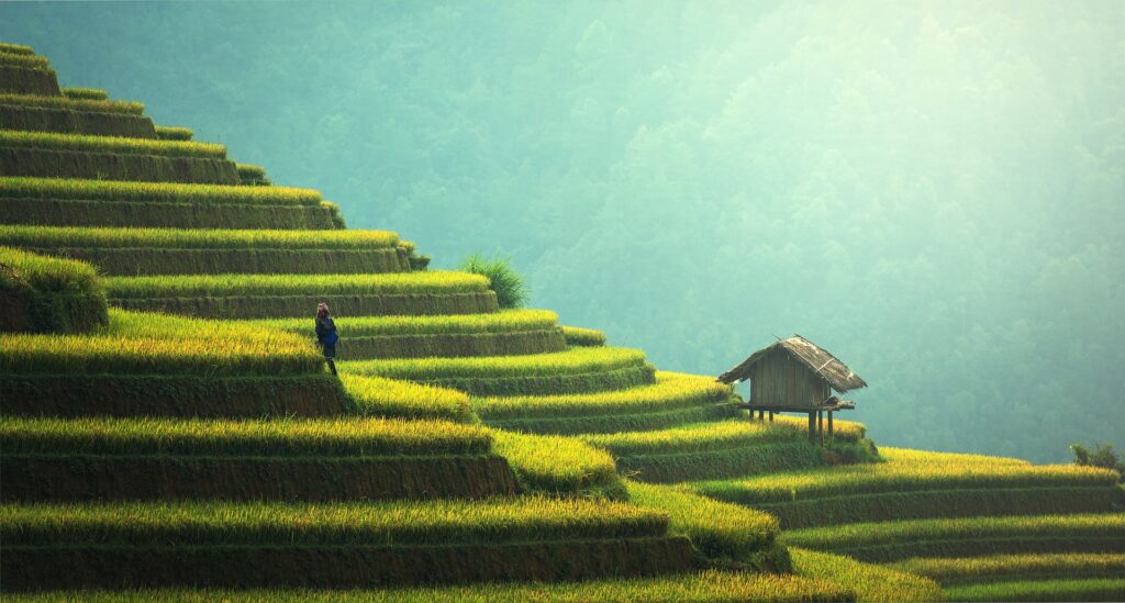 Agricultura en la antigua China