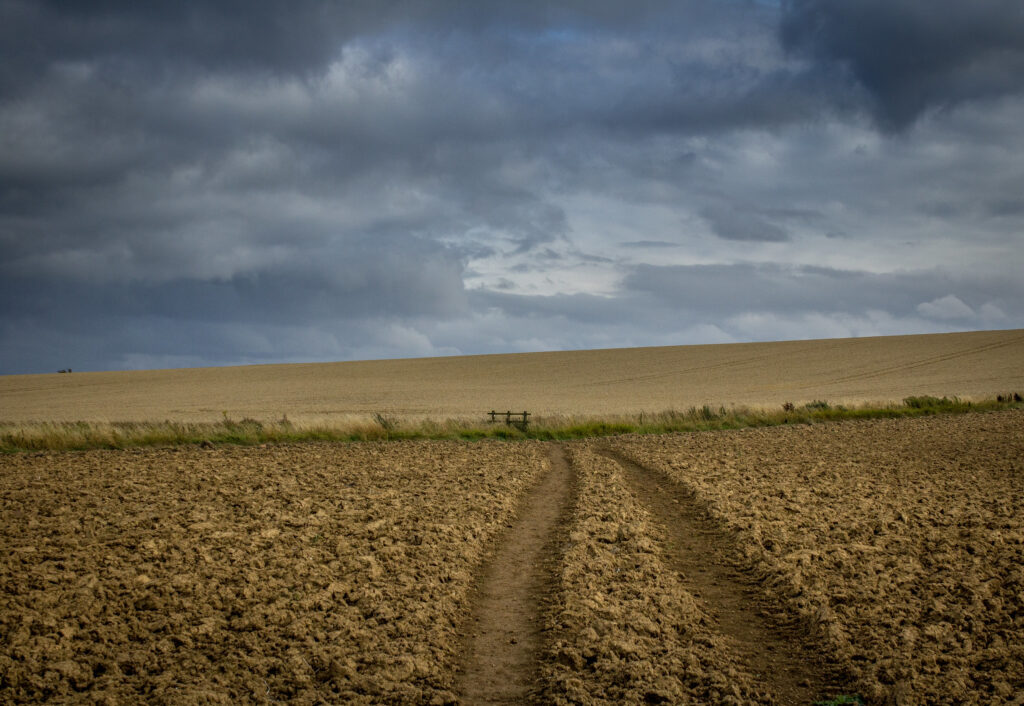 arte agrícola