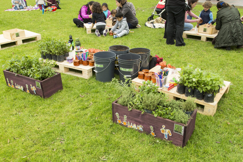 Agricultura urbana, huerto