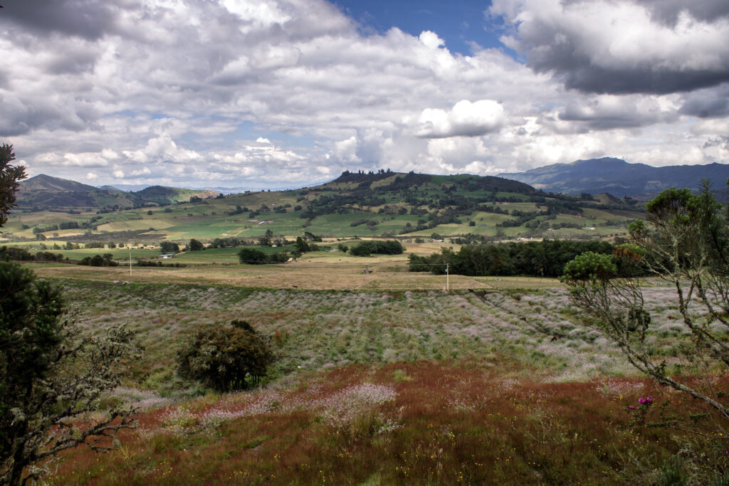 Libros sobre el campo