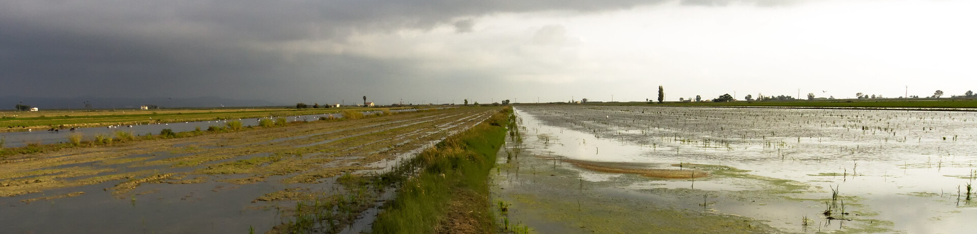 Biotecnología y cambio climático