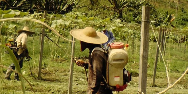 tabla periódica de fungicidas